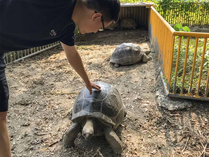 小琉球寶貝民宿的寵物